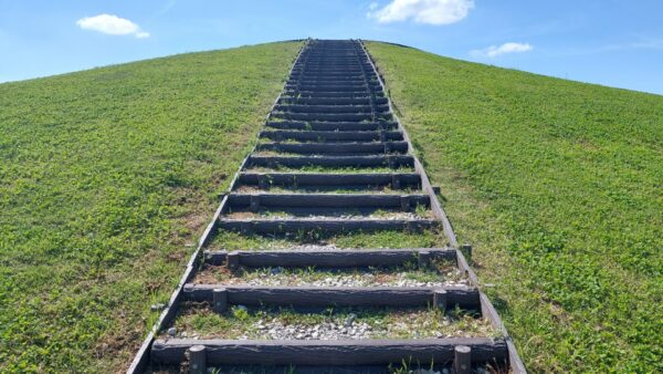 【臨床心理士が解説】自己肯定感って何？自己肯定感が高い・低いってどういうこと？原因別に紹介します